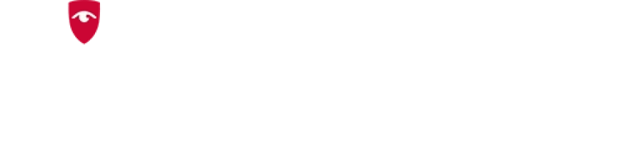 VIDEO GUARD Logotyp  
