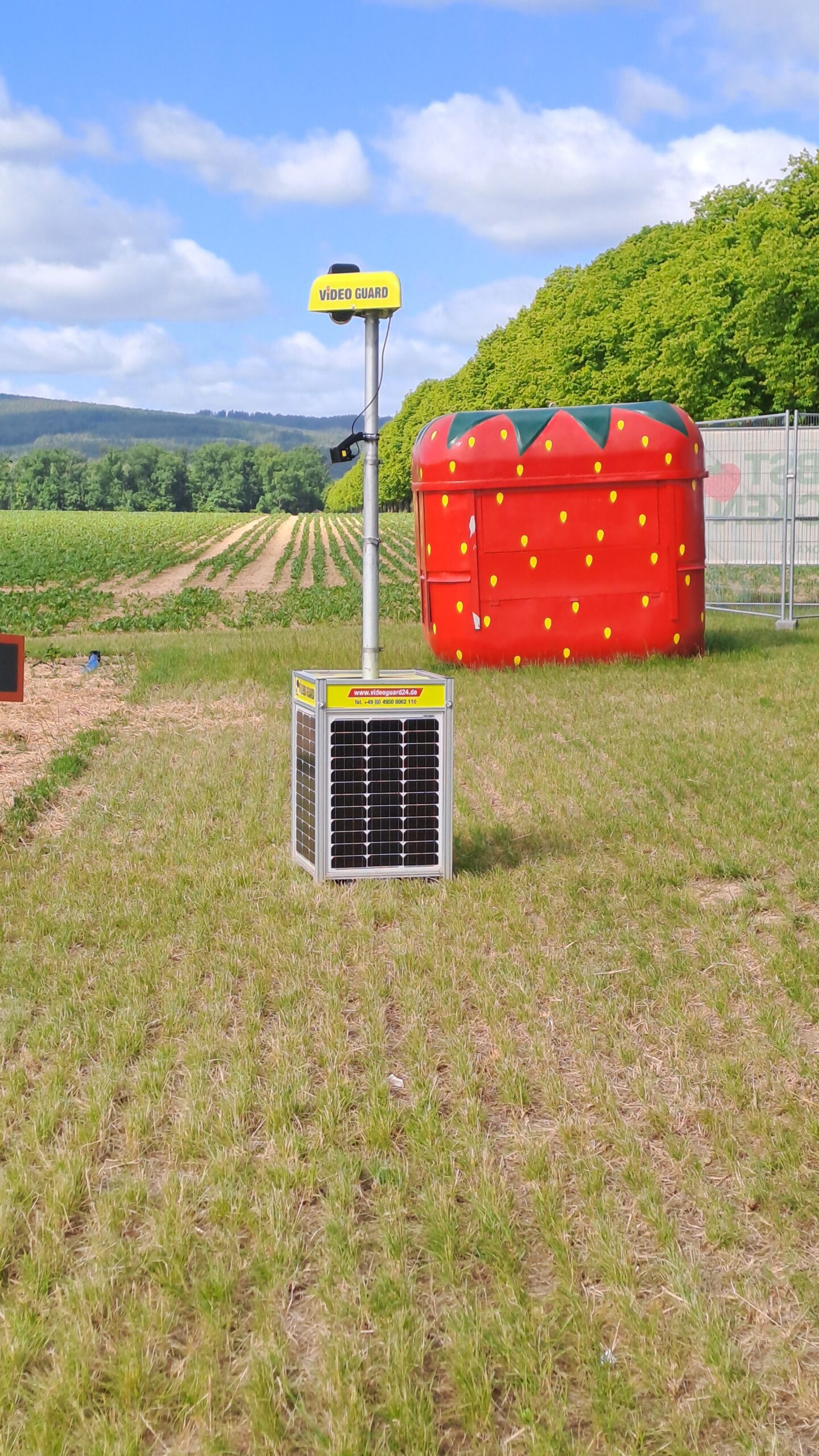 Video Guard One überwacht ein Erdbeerfeld